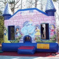 Disney Princess Bounce House